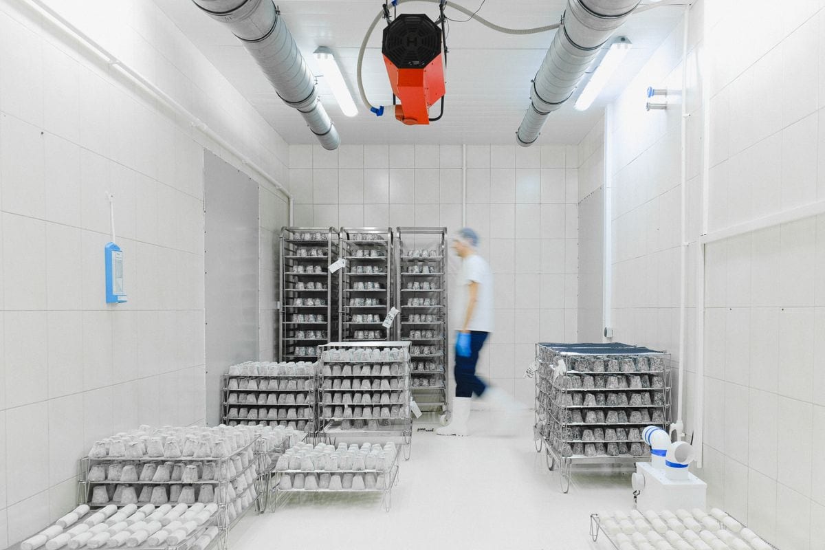 Freezer room interior
